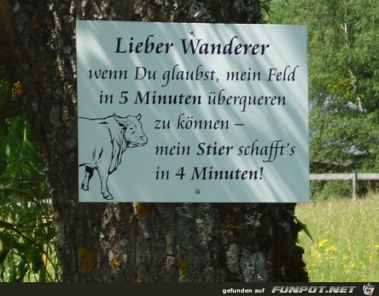 schneller schneller
