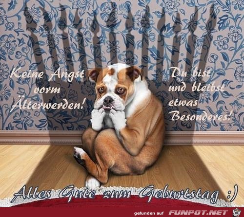 keine Angst keine Angst