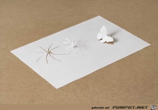 Paper cuts 12 Paper cuts 12