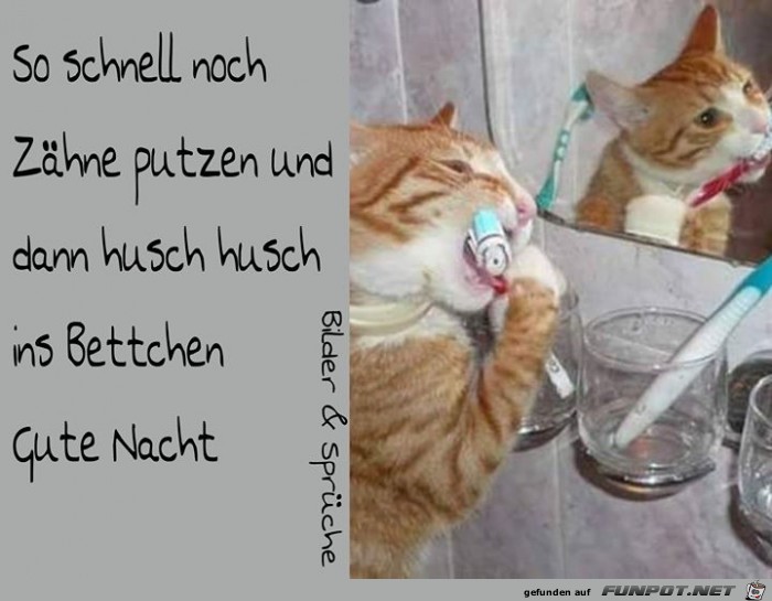 Zaehne Zaehne