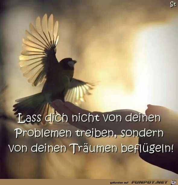Lass Dich nicht von Deinen Problemen... Lass Dich nicht von Deinen Problemen...