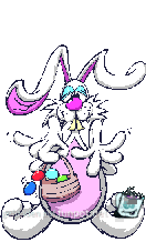hase-0120 hase-0120