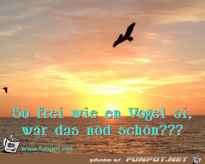 So frei wie en Vogel si waer das noed schoen So frei wie en Vogel si waer das noed schoen