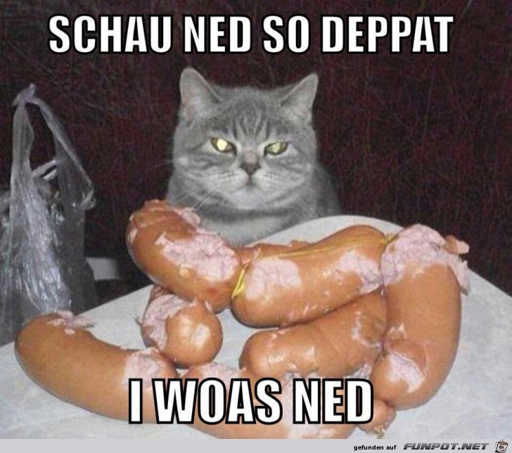 i woas net i woas net