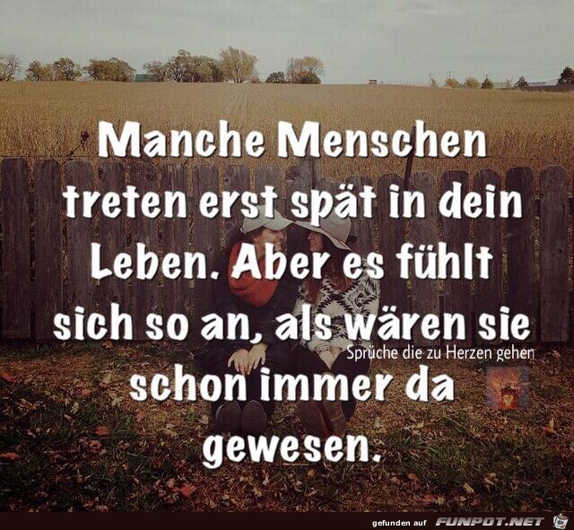 Immer