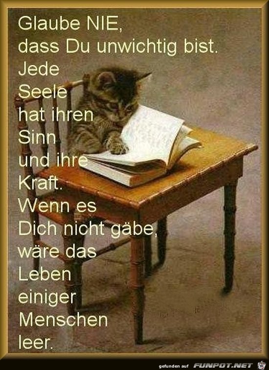 glaube nie 