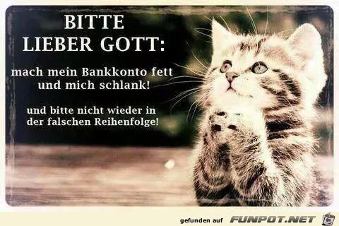 fett fett