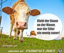 klebt der Bauer klebt der Bauer