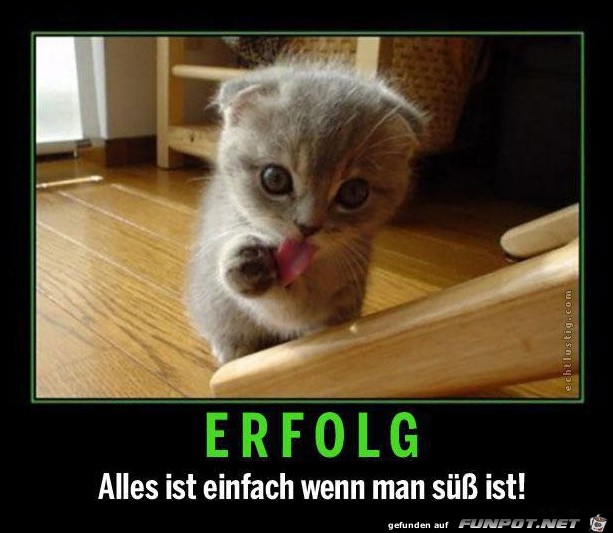 Erfolg Erfolg