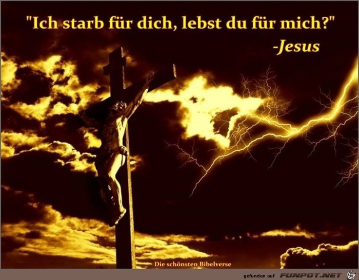 fuer dich fuer dich