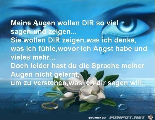 Meine Augen wollen wir dir soviel sagen Meine Augen wollen wir dir soviel sagen