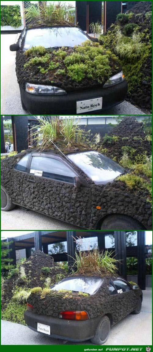 car-lawn