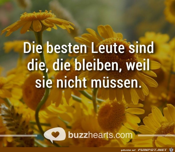 Die besten Leute Die besten Leute
