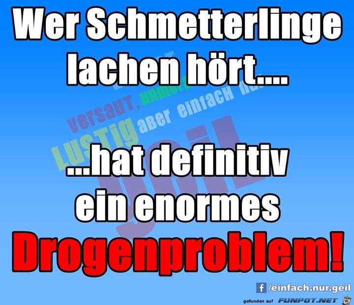 Schmetterlinge Schmetterlinge