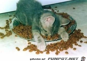 image008 image008