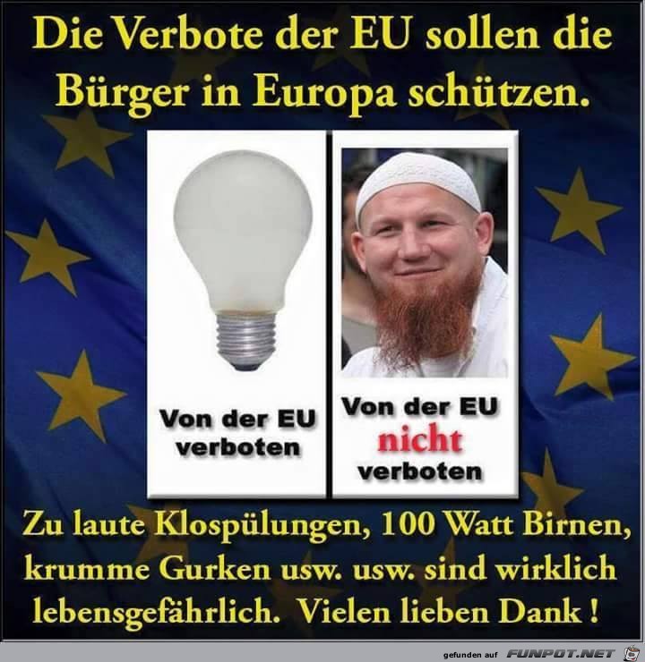 Die Verbote der EU