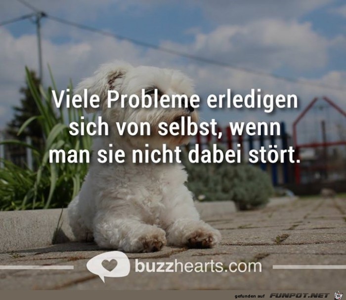 viele probleme