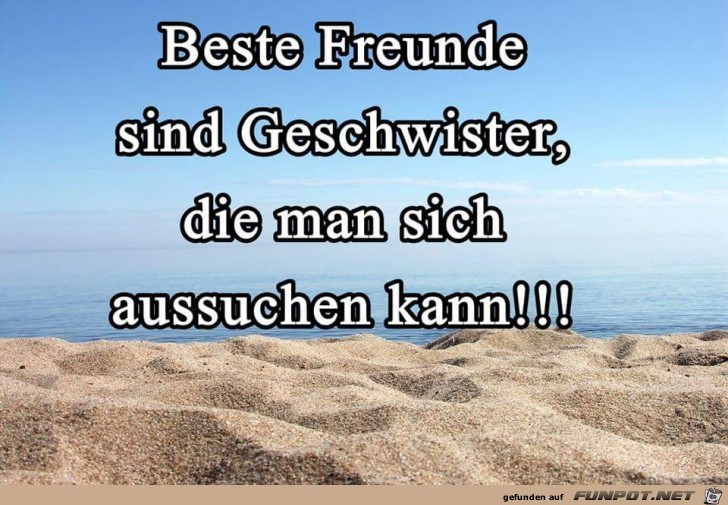 Bester Freunde sind...