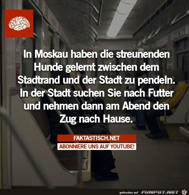 Moskau Moskau