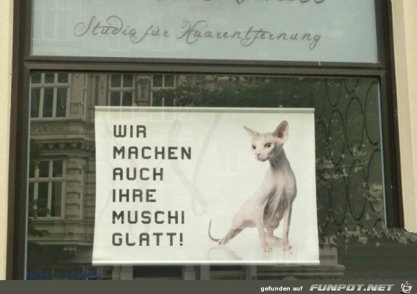 Muschi Muschi