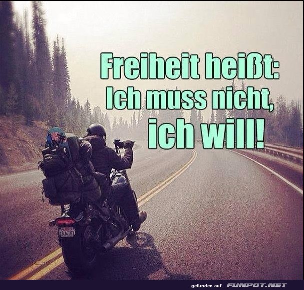 10 sch�ne Spr�che und Lebensweisheiten aus...