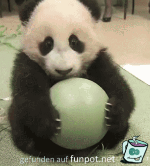 Mein Ball Mein Ball
