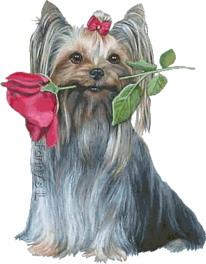 rose hund