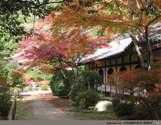 Tolle Orte die du im Herbst besuchen kannst 11