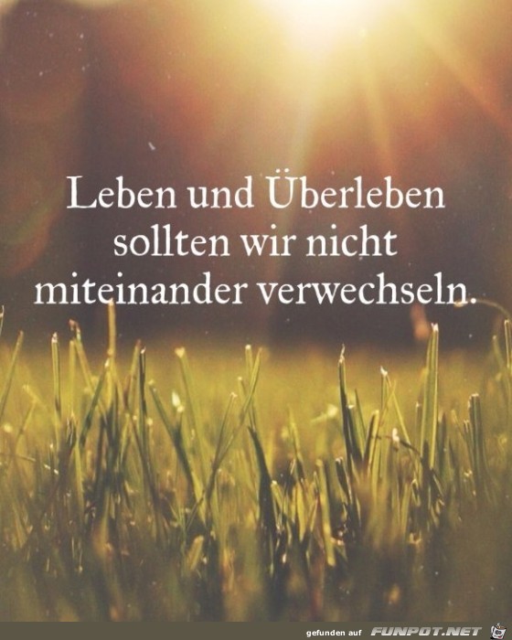 leben-und-ueberleben- leben-und-ueberleben-