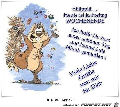 freitag 2 freitag 2