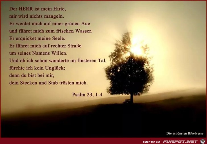 Psalm 23 1-4