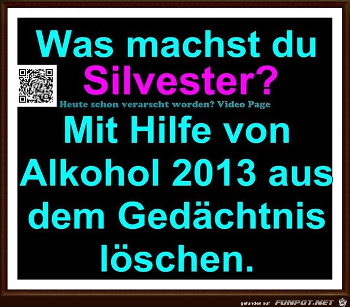 Was machst Du Silvester 2013 Was machst Du Silvester 2013