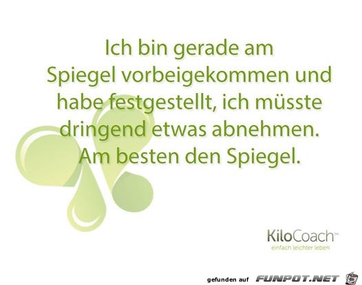 xspiegel xspiegel