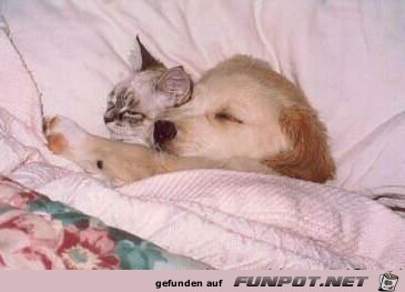 image005 image005