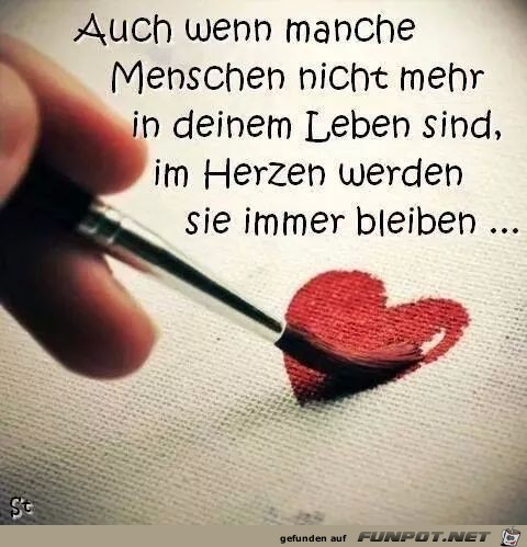 Immer