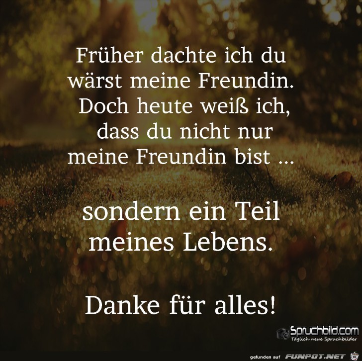 danke fuer alles