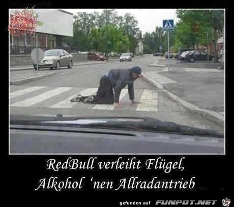 Red Bull verleiht Fluegel