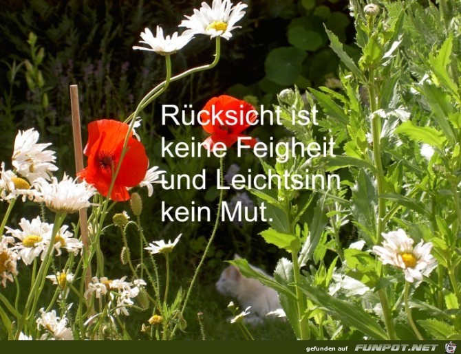 Ruecksicht ist keine Ruecksicht ist keine