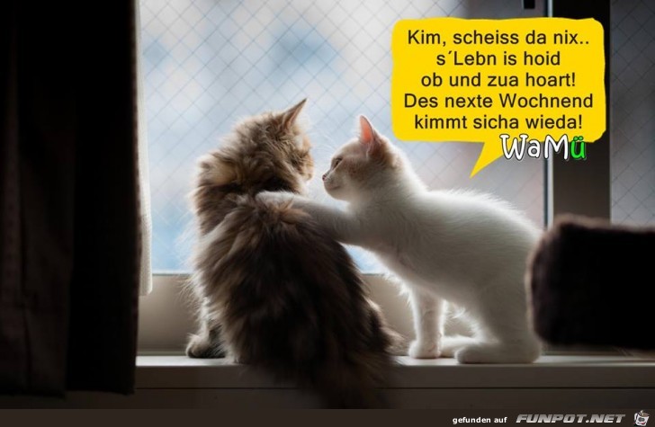 naechste wochenend naechste wochenend