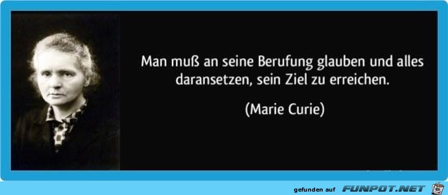 BERUFUNG BERUFUNG