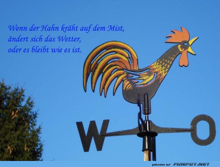 klasse Sprche und Witze!
