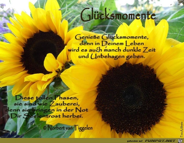 Gluecksmomente