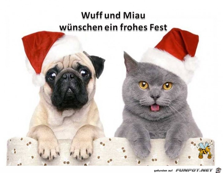 Wuff und Miau
