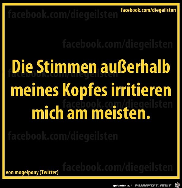 diegeilsten Stimmen diegeilsten Stimmen