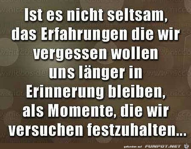 Erfahrungen Erfahrungen