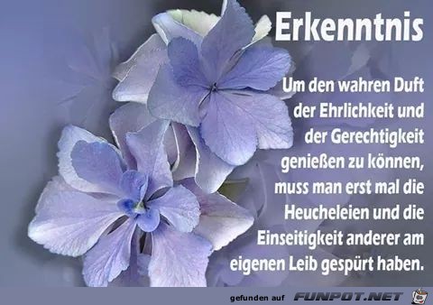 Erkenntnis