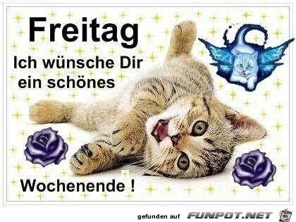 Freitag