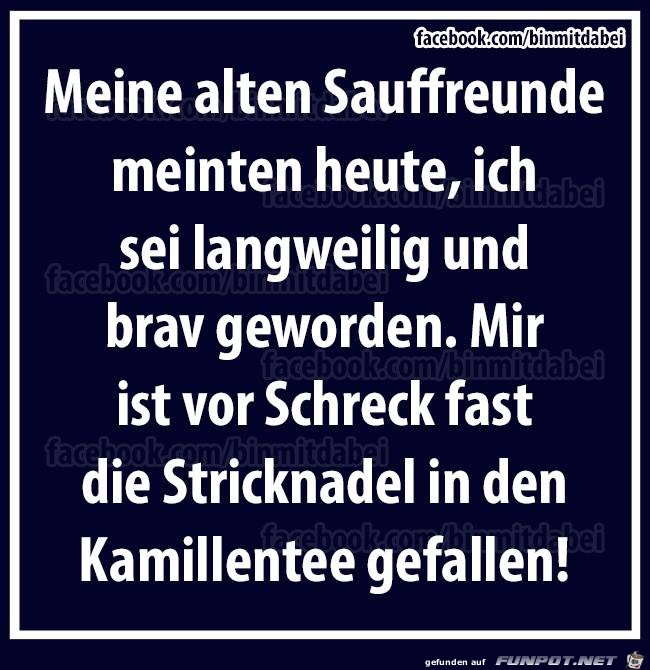 Meine alten Sauffreunde meinten... Meine alten Sauffreunde meinten...