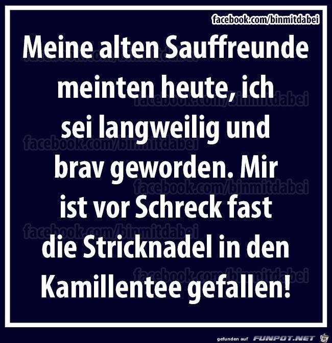 Meine alten Sauffreunde meinten...