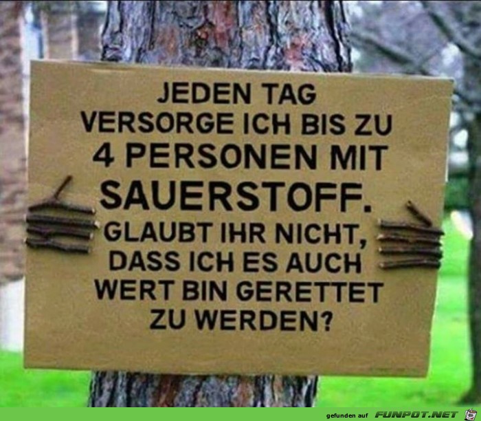 Sauerstoff Sauerstoff